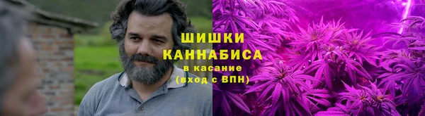 шишки Балахна