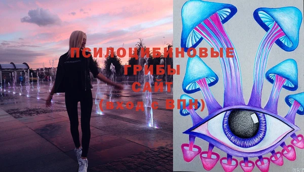 амф Струнино