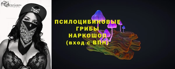 шишки Балахна