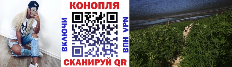 Марихуана THC 21%  Лесной 